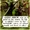 Green Arrow (Riddle of the Beast)