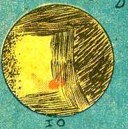 Io Multiverse Moon of Jupiter