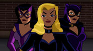 Birds of Prey TV Series The Brave and the Bold