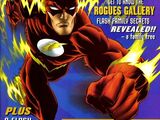 The Flash Secret Files and Origins Vol 1 1