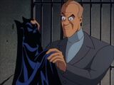 Batman (1992 TV Series) Episode: The Cape and Cowl Conspiracy