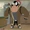 Diego Dorrance (DC Super Hero Girls TV Series)