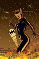 Catwoman 0087