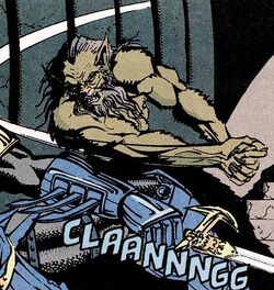 Catman, DC and Marvel: Megaverse Wikia