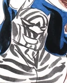 Zebra Batman Lil Gotham Lil Gotham