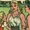 Athleta (Earth-Two)