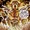 Arzaz (New Earth)