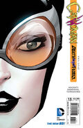 Catwoman Vol 4 13 Die-Cut Cover