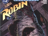 Robin Vol 2 23