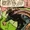 Bemis (Earth-S)
