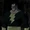 Teth-Adam (Earth-16)