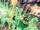 The Green Lantern Vol 1 1 Cheung Variant.jpg