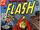 The Flash Vol 1 262