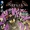 Batman: Arkham Knight - Batgirl/Harley Quinn Vol 1 1