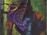 Black Orchid Vol 2 14