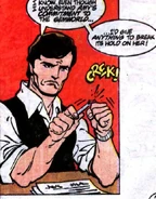 Herb Winston New Earth Amethyst, Princess of Gemworld