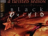 Black Orchid Vol 2 17