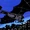 Bat-Glider