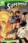 Superman Up in the Sky Vol 1 3