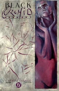 Black Orchid (1988—1989) 3 issues