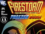 Firestorm Vol 3 25