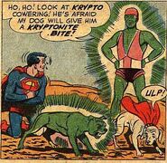 Kryptonite Dog 001