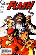 The Flash Vol 2 229