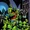 Green Martians