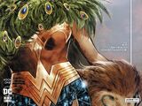 Wonder Woman Historia: The Amazons Vol 1 1