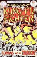 Richard Dragon Kung-Fu Fighter Vol 1 1