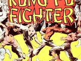 Richard Dragon, Kung-Fu Fighter Vol 1 1