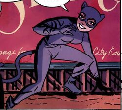 Selina Kyle New Frontier 001.jpg