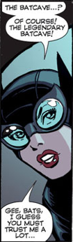 Selina Kyle Shadow of Sin Tzu 001.png