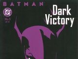 Batman: Dark Victory Vol 1 5