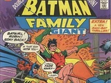 Batman Family Vol 1 14