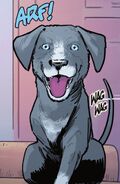 Haley the Dog (Prime Earth)