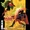 Alan Scott: The Green Lantern Vol 1 5