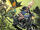 Batgirl and the Birds of Prey Vol 1 14 Textless.jpg