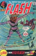 The Flash Vol 1 202