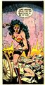 Wonder Woman 0227