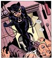 Catwoman 0045