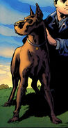 Titus the Dog (Prime Earth)