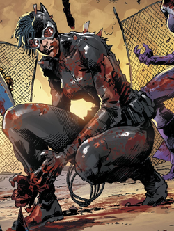 Catwoman DCeased.png