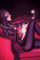 Catwoman Vol 5 40 Textless Frison Variant