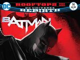 Batman Vol 3 14