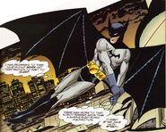 Bruce Wayne Batman SBG