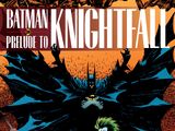 Batman: Prelude to Knightfall (Collected)