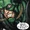 Evan McCulloch (Injustice)
