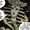 Hauhet (Prime Earth)
