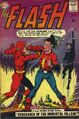 The Flash Vol 1 137